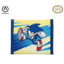 V2H172EA20FAF806D4E98E74BACED18F136R6998177P1