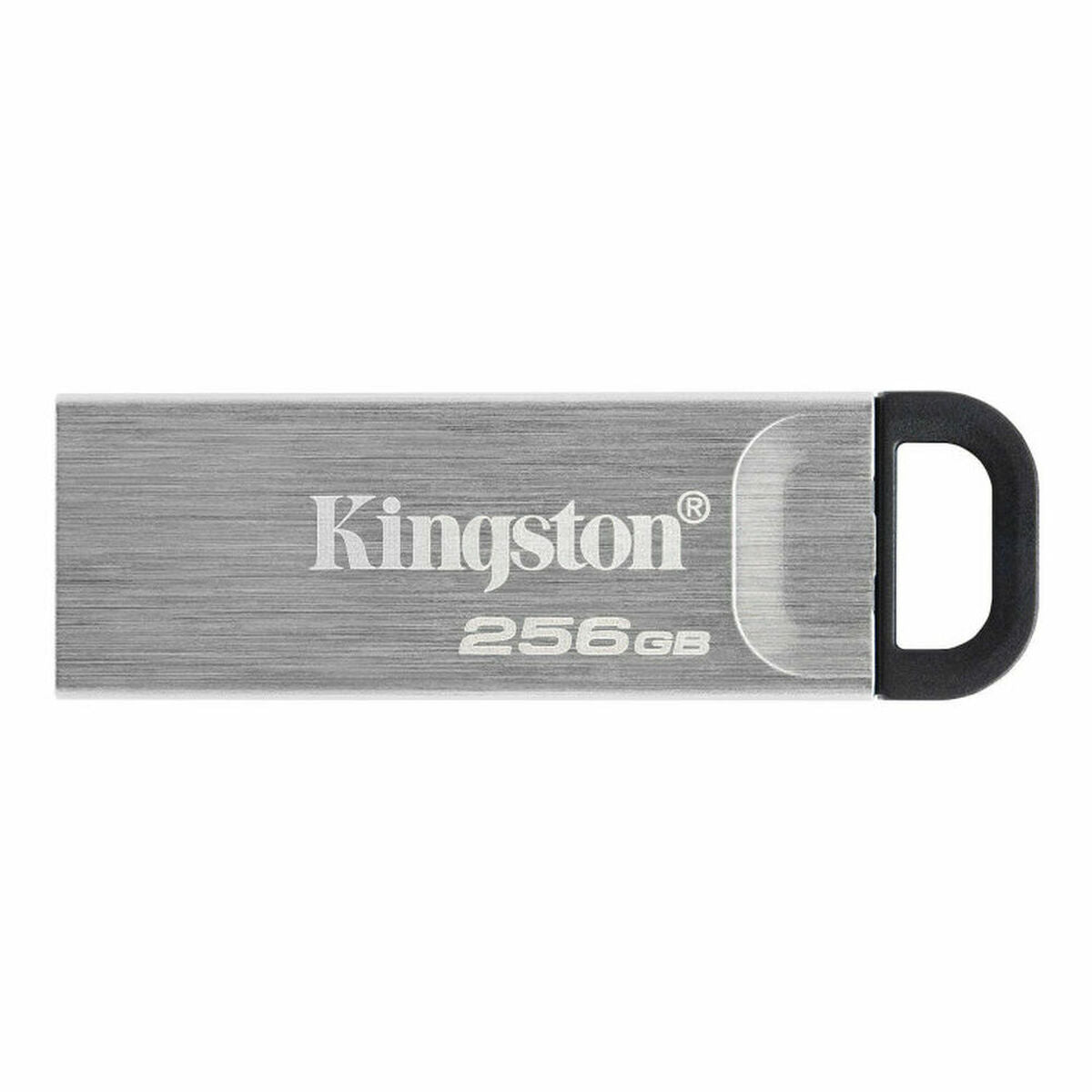 Clé USB Kingston DTKN/256GB Noir 256 GB - 0