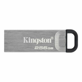 Clé USB Kingston DTKN/256GB Noir 256 GB - 0