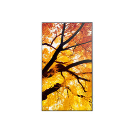 V4H83D93D47D5C06C7A552D43FDE42682ACR7466252P1