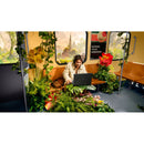 V4HABDC0CC5B6A5CCD7BFA21EC7B758F3E1R5360972P4